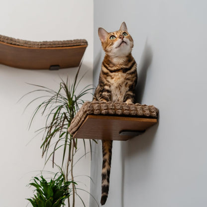 Kitsune Cat Wall Steps – Brown