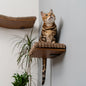 Kitsune Cat Wall Steps – Brown