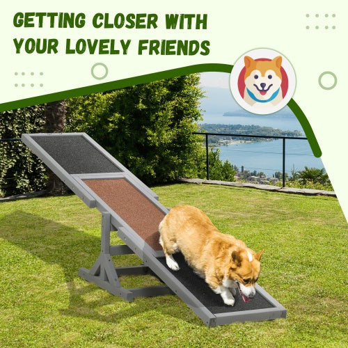 Dog Agility Seesaw