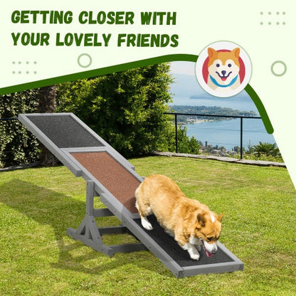 Dog Agility Seesaw