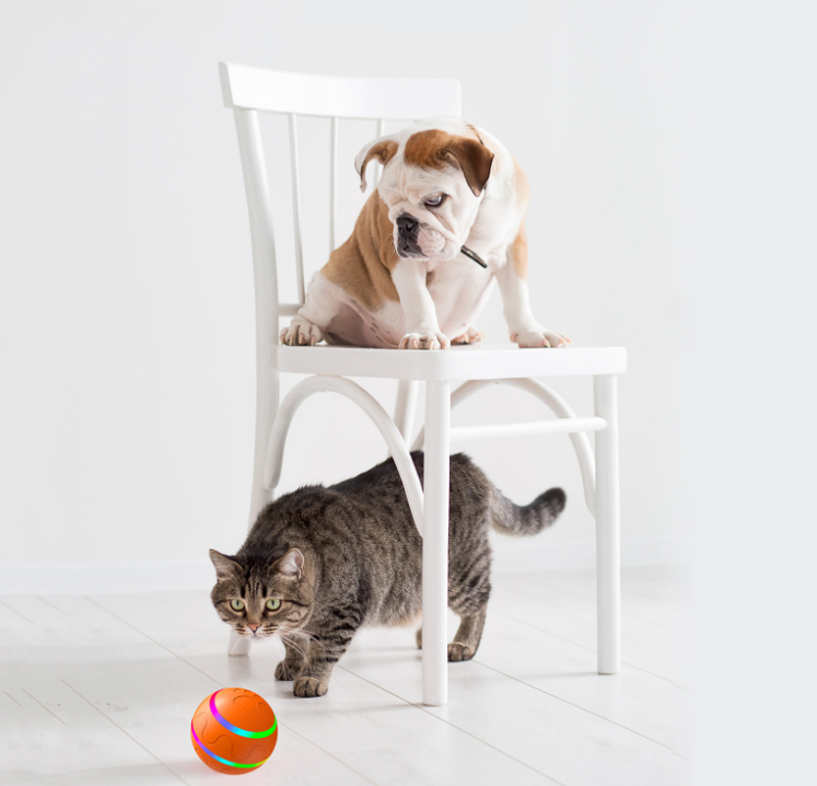 Smart Remote-Control Pet Ball
