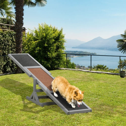 Dog Agility Seesaw