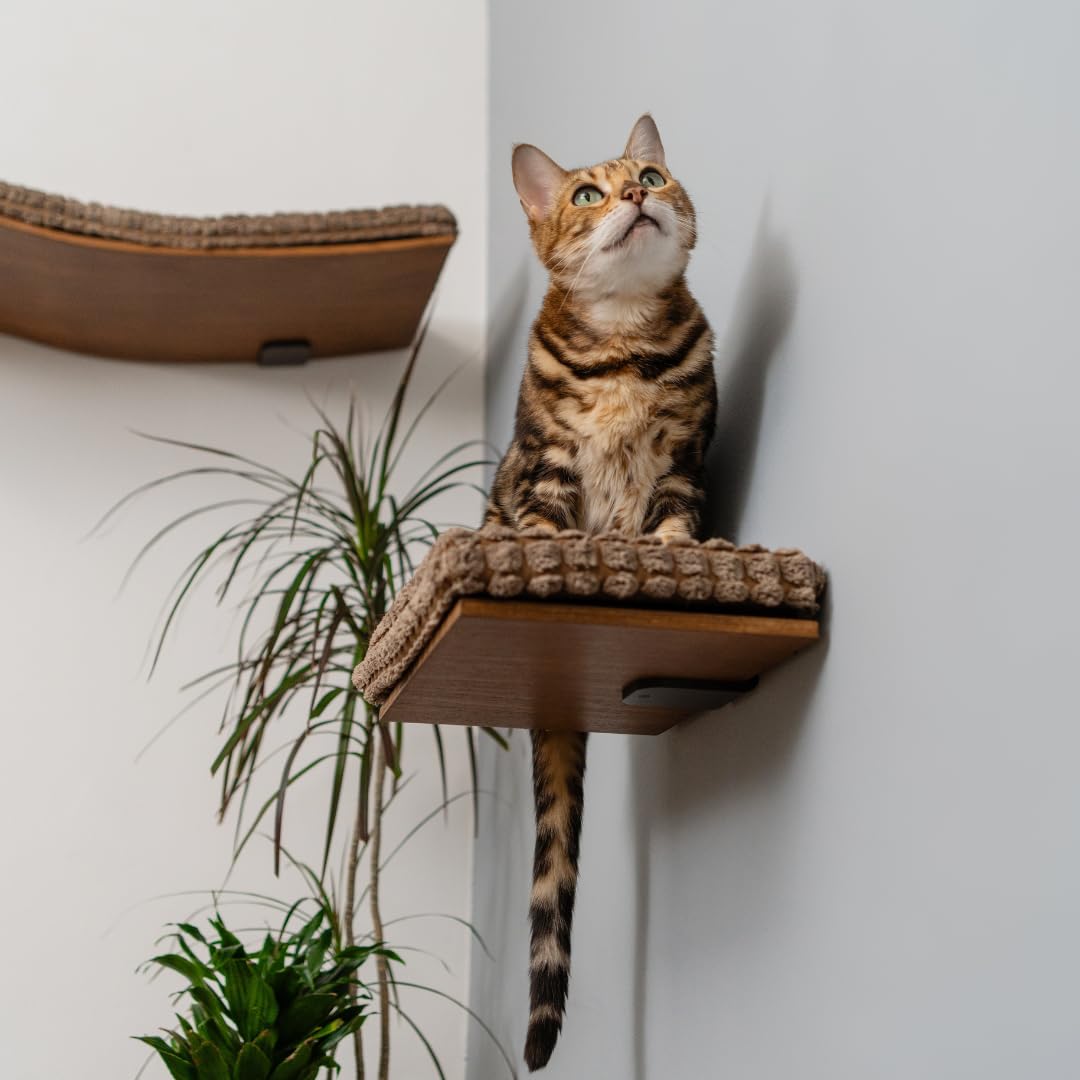 Kitsune Cat Wall Steps – Brown