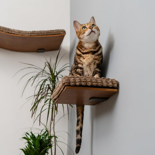 Kitsune Cat Wall Steps – Brown